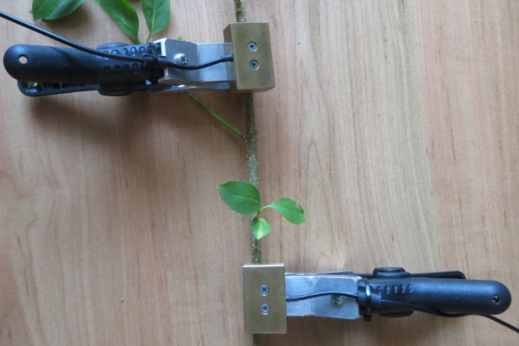 亚洲必赢·bwin(中国唯一)官方网站