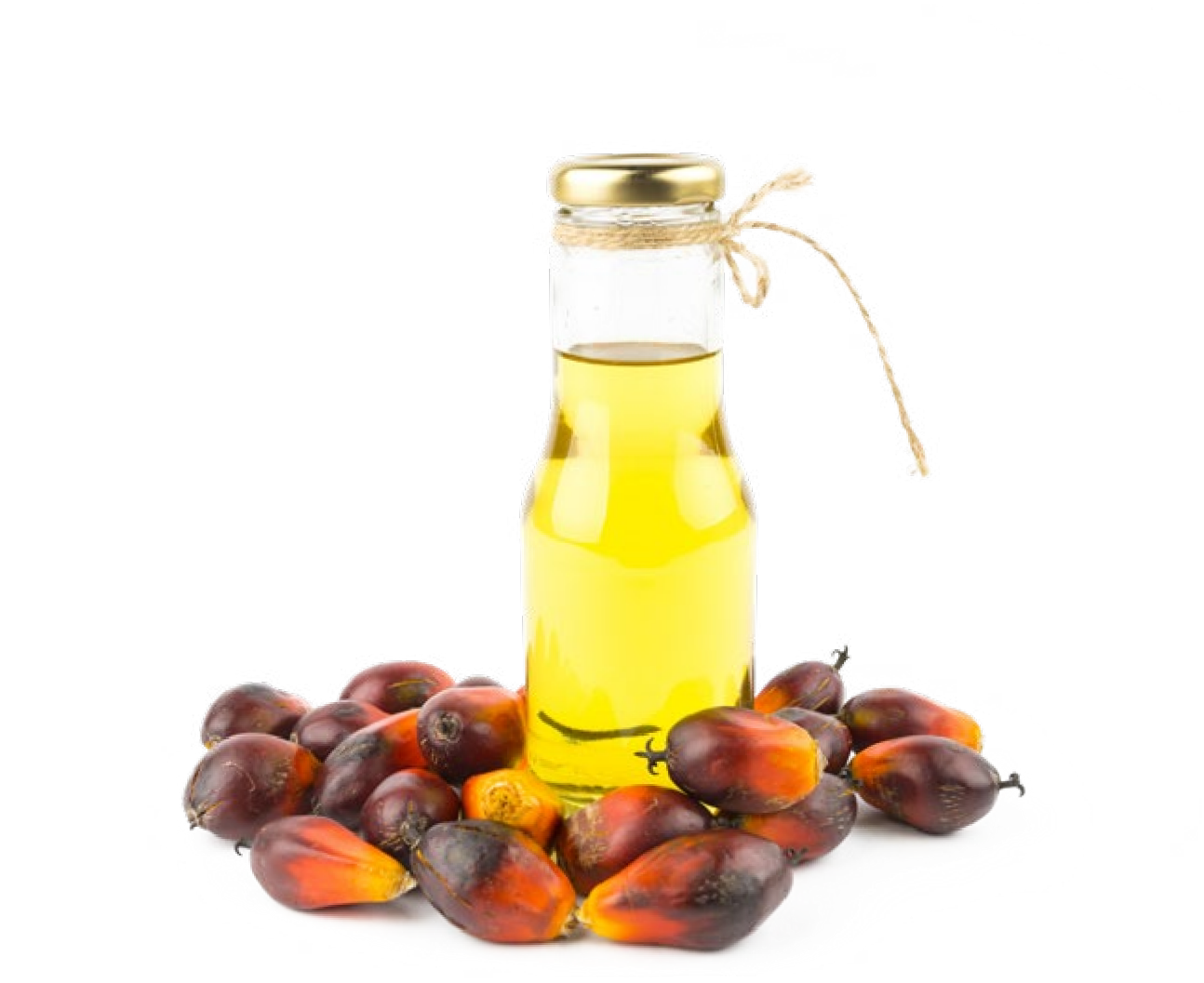 亚洲必赢·bwin(中国唯一)官方网站