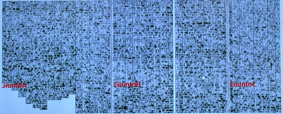 亚洲必赢·bwin(中国唯一)官方网站