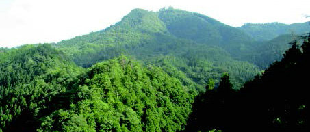 亚洲必赢·bwin(中国唯一)官方网站