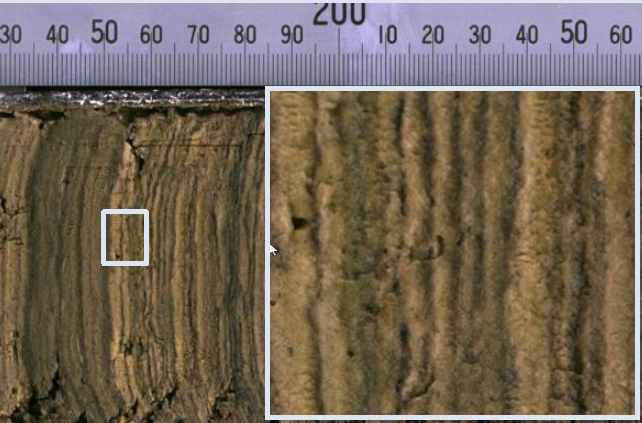 亚洲必赢·bwin(中国唯一)官方网站