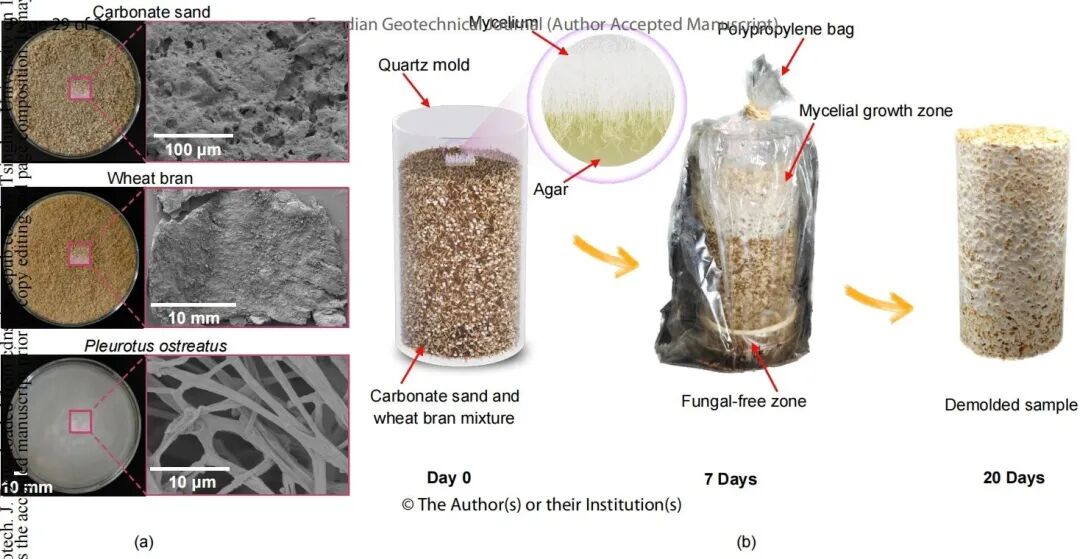 亚洲必赢·bwin(中国唯一)官方网站